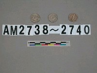 藏品(美國1角硬幣)的圖片